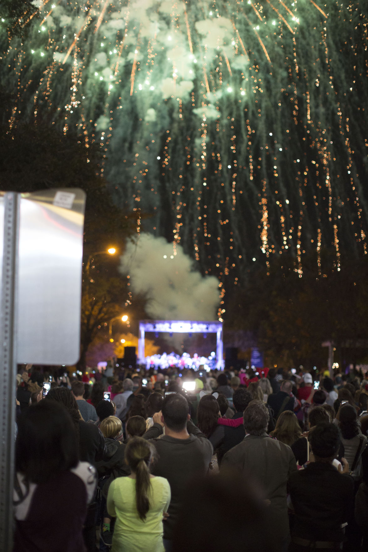 BR.festivaloflights01.120217
